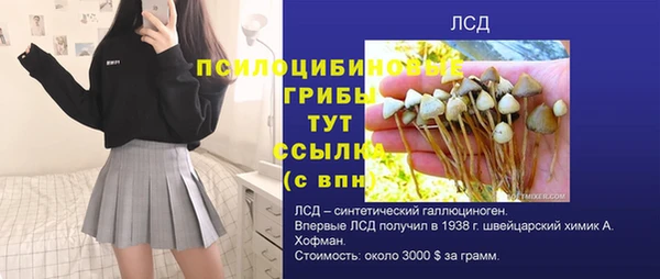 spice Покачи