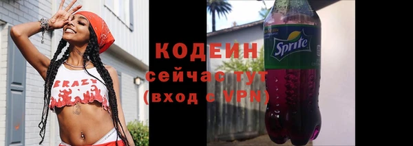 дурь Пересвет