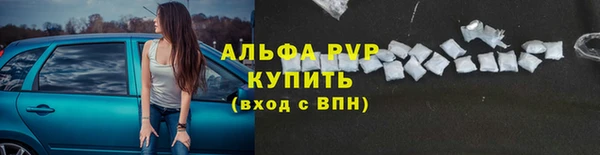 дурь Пересвет