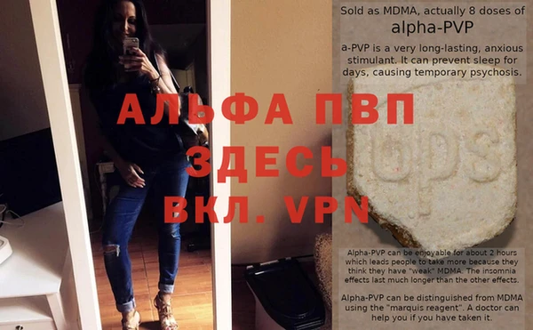 spice Покачи