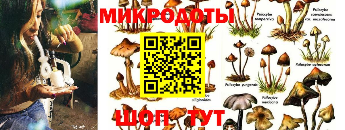 Псилоцибиновые грибы Magic Shrooms Усть-Кут