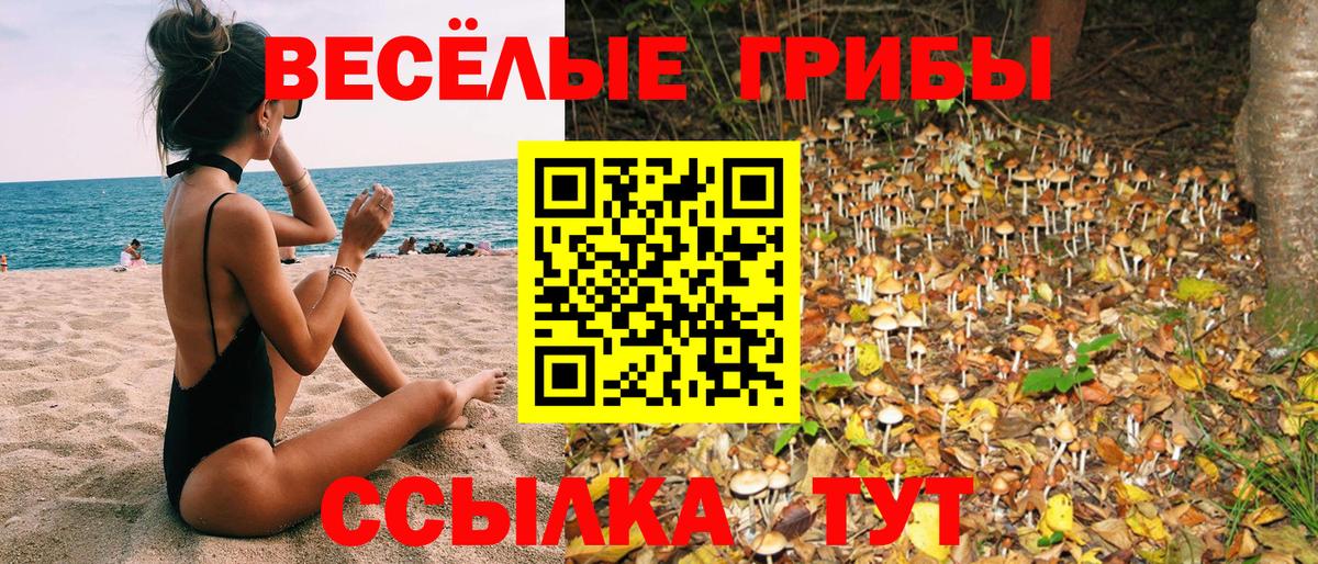 наркотики  Вход с VPN  Псилоцибиновые грибы Psilocybine cubensis  Усть-Кут  Галлюциногенные грибы Cubensis 